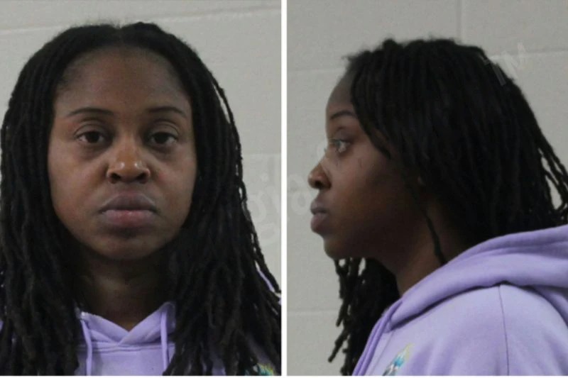 Santina Johnson Mugshots