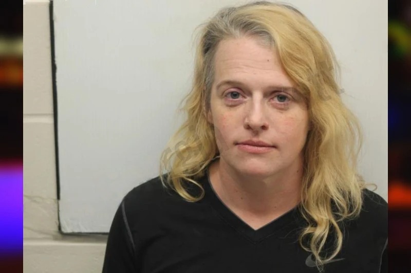 Sarah Skinner mugshot – Chatham County , Georgia Sarah Skinner mugshot