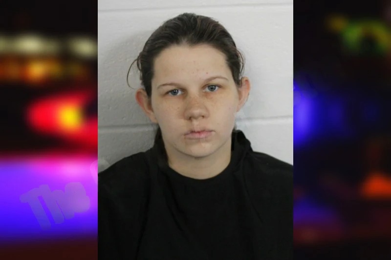 Savannah Cox mugshot – Floyd County , Georgia Savannah Cox mugshot