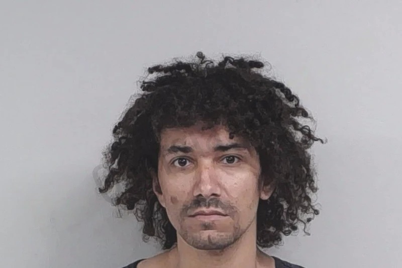 Sean Carlson Mugshots