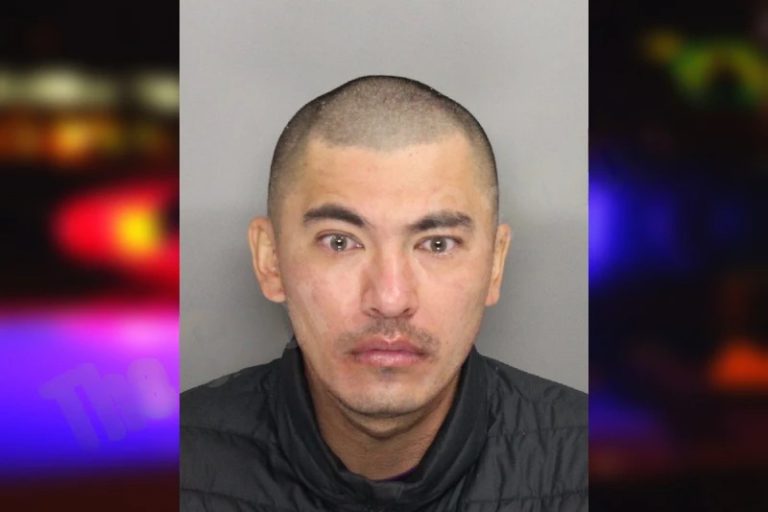 Sean Love mugshot – Cobb County , Georgia Sean Love