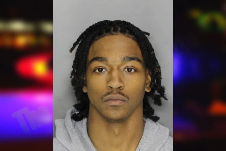 Sean Wilkinson mugshot – Cobb County , Georgia Sean Wilkinson