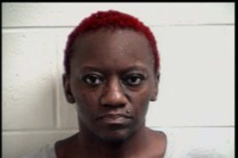 Shalunda McElralth-Carson mugshot