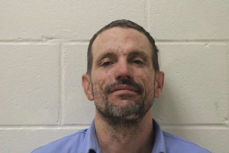 Shannon Freeman Mugshots