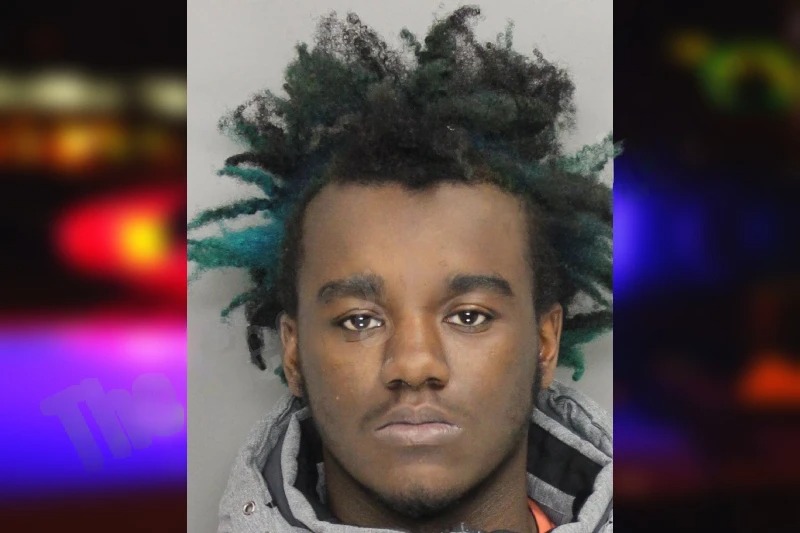 Shannon Johns mugshot – Cobb County , Georgia Shannon Johns mugshot