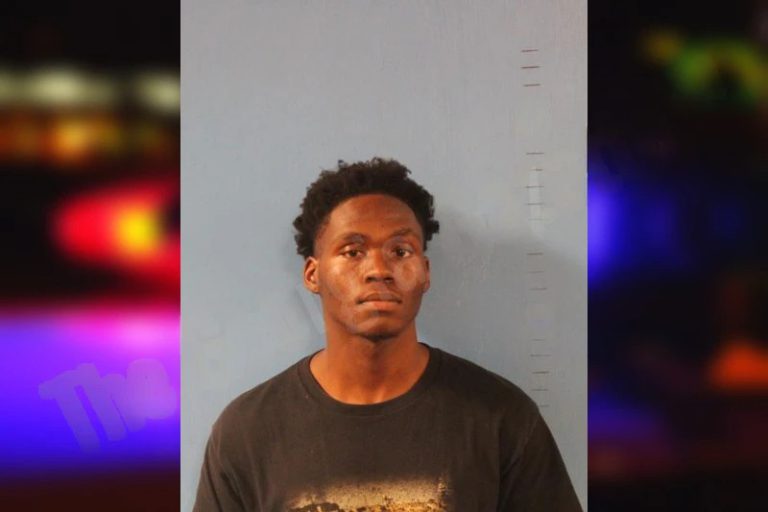 Shannon Mitchell mugshot – Richmond County , Georgia Shannon Mitchell