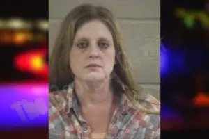 Shannon Phelps mugshot