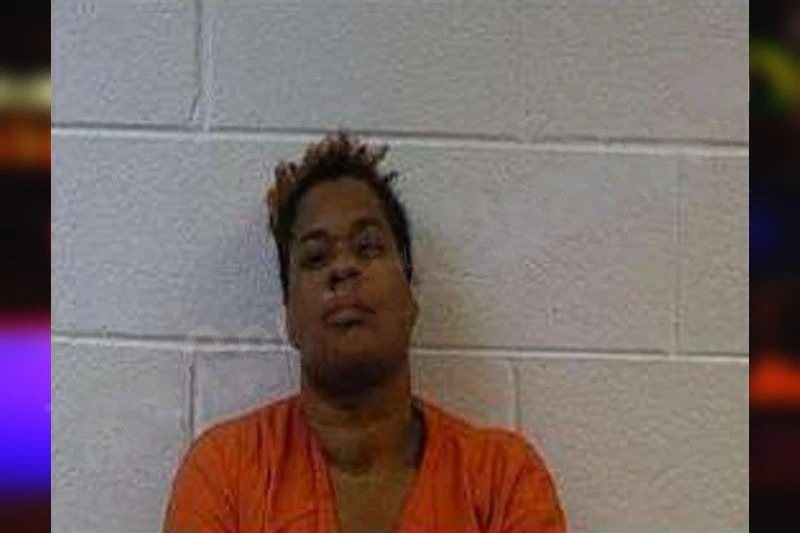 Shari Pollard Mugshots