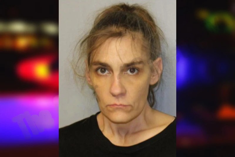 Shauna Hartford Mugshots