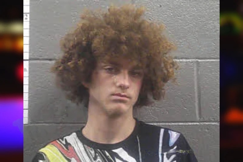 Shawn Andrews Mugshots