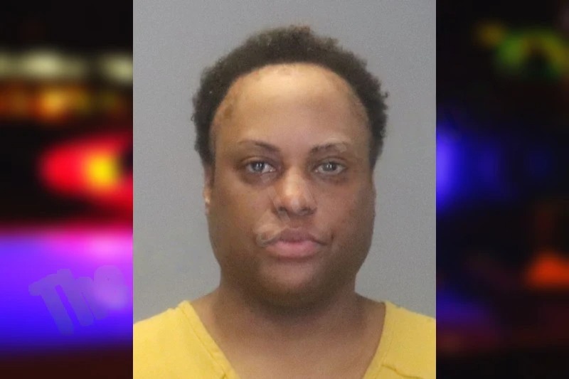 Sheena Pace Mugshots