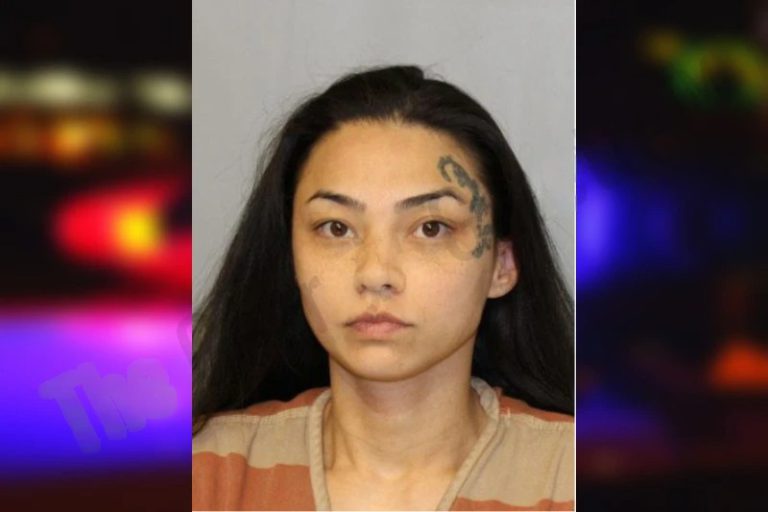 Sheila Pressley mugshot β Hall County , Georgia Sheila Pressley