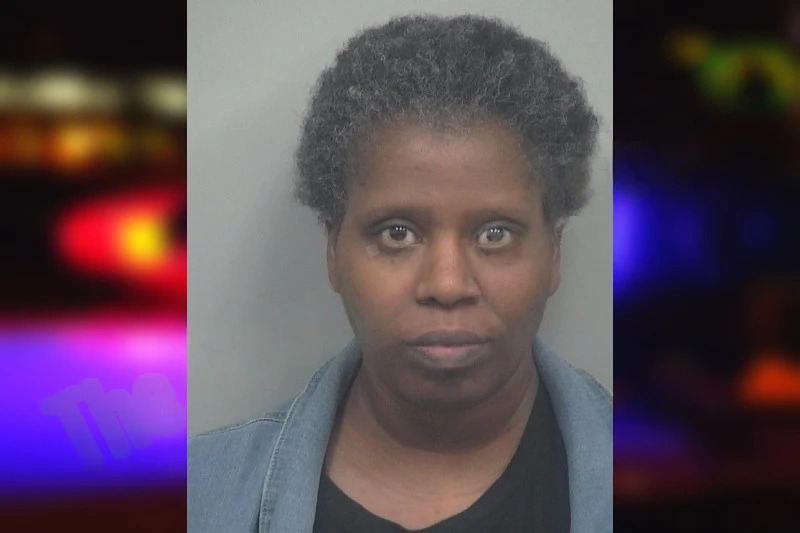 Shekeira Hudson Mugshots