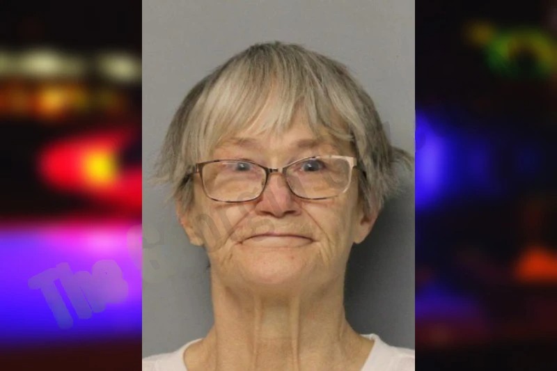 Shelia Chitwood mugshot – Hall County , Georgia Shelia Chitwood mugshot