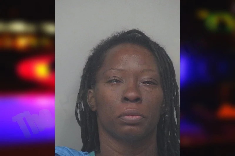 Shelina Hutchings mugshot – Gwinnett County , Georgia Shelina Hutchings mugshot