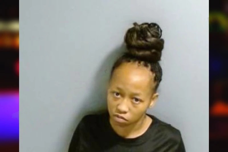 Shellbee Cook Mugshots