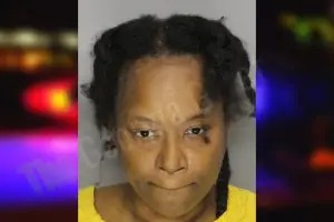 Shequila Hill Mugshots