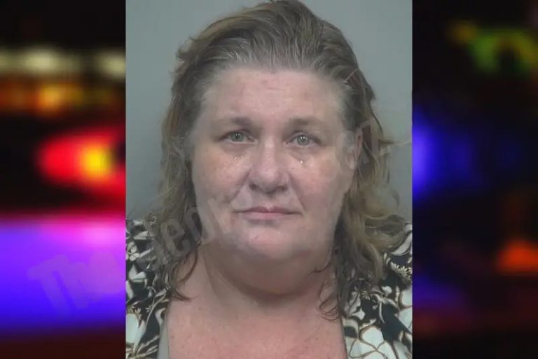 Sherie Yancey mugshot – Gwinnett County , Georgia Sherie Yancey