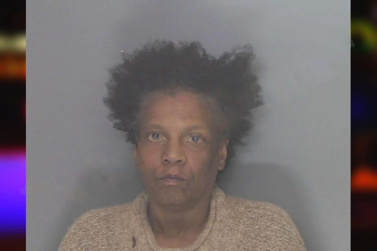 Sherri Parsons mugshot – Douglas County , Georgia Sherri Parsons