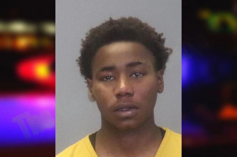 Shilyane Gilchrist mugshot