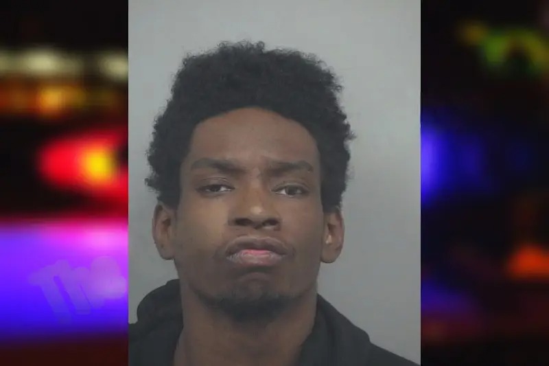 Shula Gabriel mugshot – Gwinnett County , Georgia Shula Gabriel mugshot