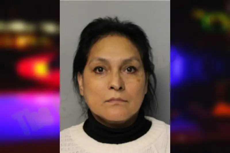 Silvia Guerrero mugshot