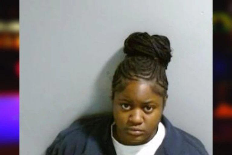 Skylar Williams mugshot – Fulton County , Georgia Skylar Williams