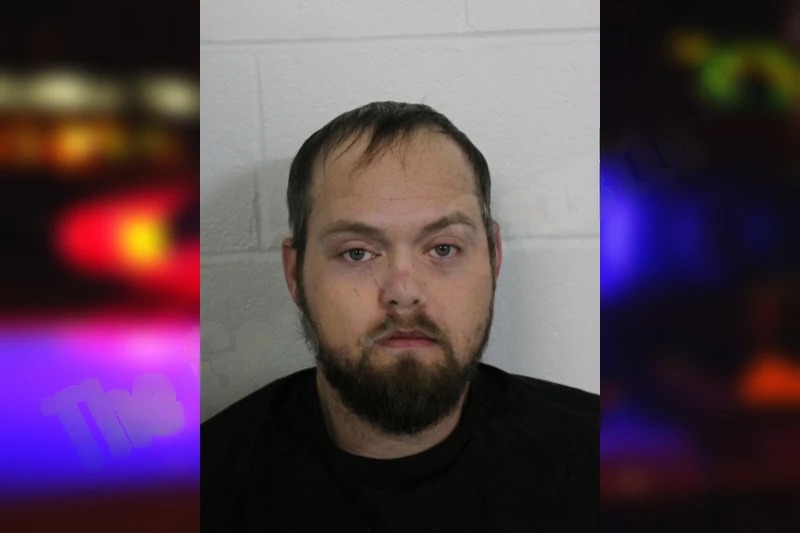 Skyler Wilson mugshot