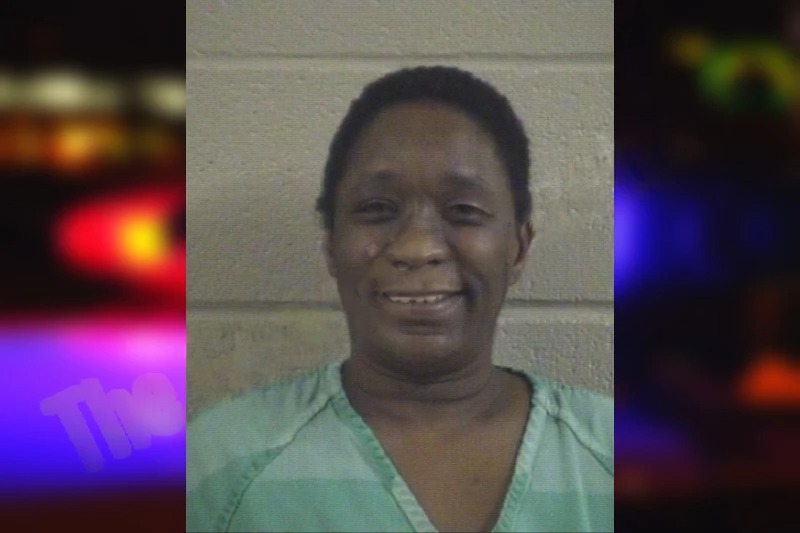 Sonya Lewis Mugshots