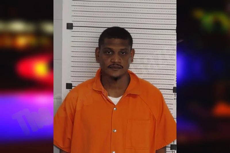 Stacey Stone Mugshots