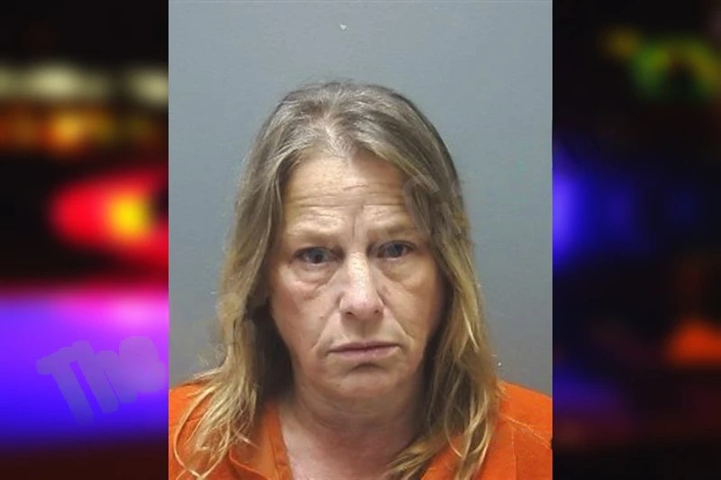 Stacie Ryan Mugshots