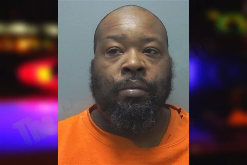 Stacy Hamilton Mugshots