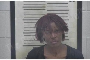 Stephanie Adams Mugshots