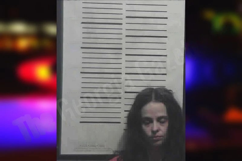 Stephanie Chapman Mugshots