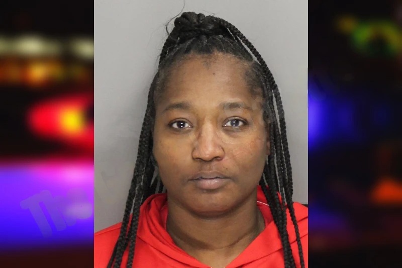 Stephanie Davis mugshot – Cobb County , Georgia Stephanie Davis mugshot