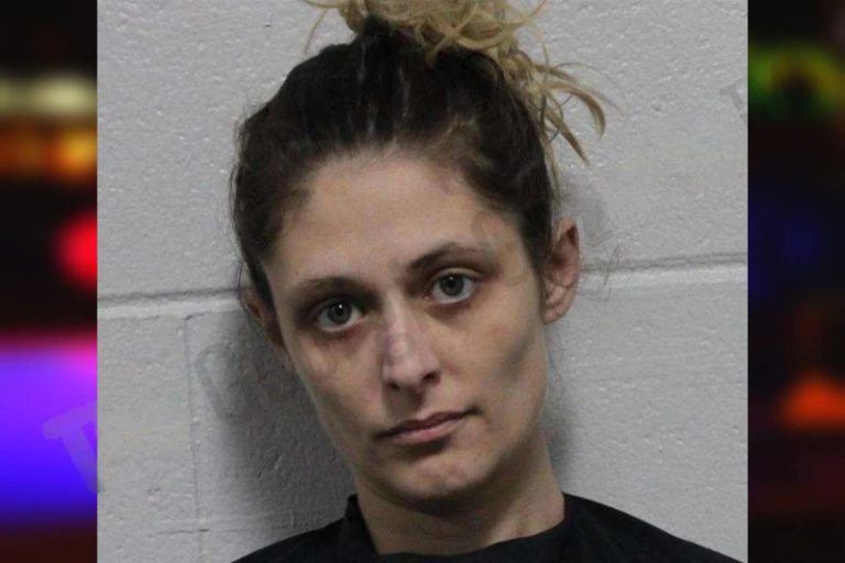 Stephanie Duncan mugshot – Habersham County , Georgia Stephanie Duncan