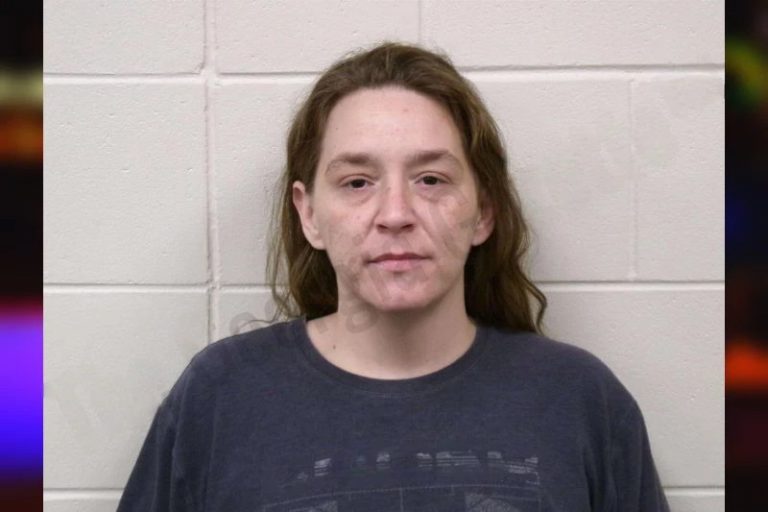 Stephanie Lott mugshot – Bulloch County , Georgia Stephanie Lott