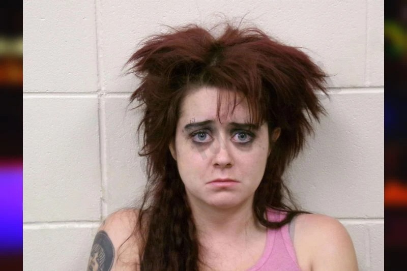 Stephanie Lowery mugshot – Bulloch County , Georgia Stephanie Lowery mugshot