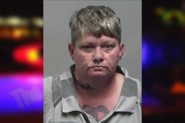 Stephanie Phillips mugshot – Tift County , Georgia Stephanie Phillips