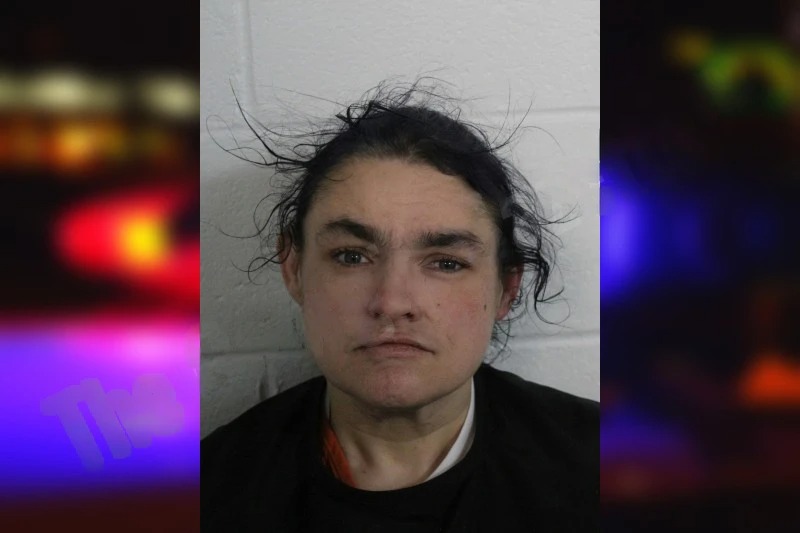 Stephanie Pullen mugshot