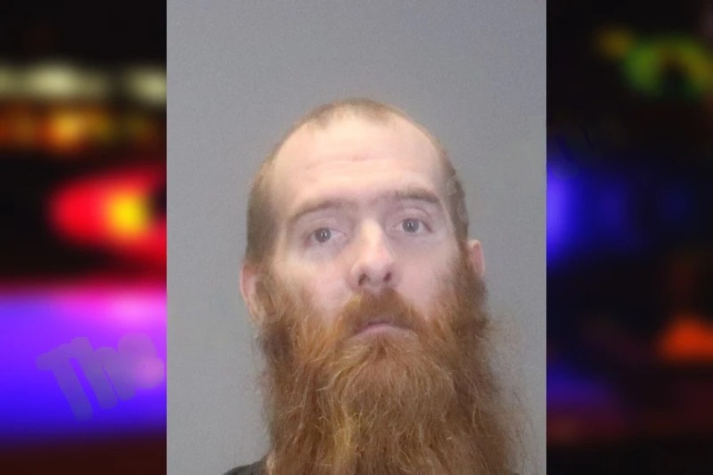 Stephen Dewolfe Mugshots