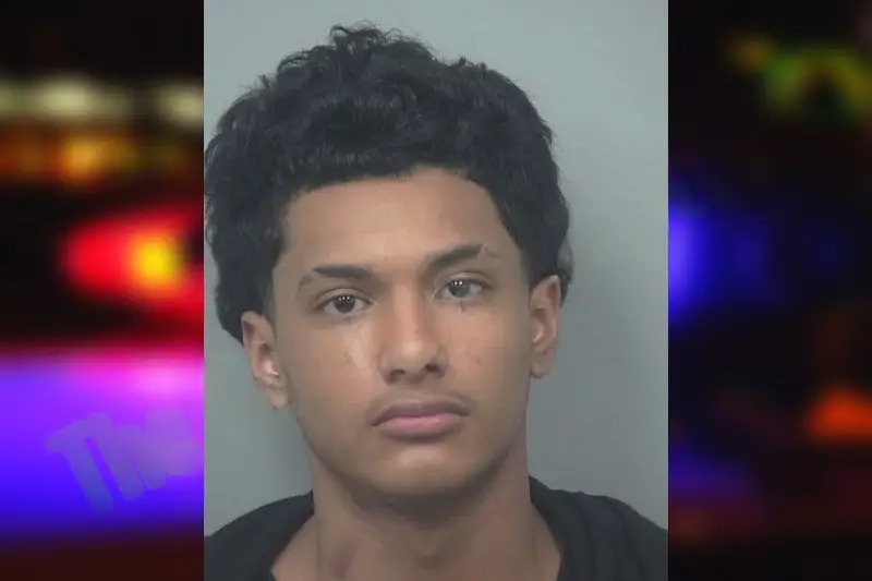 Stephen Hernandez mugshot – Gwinnett County , Georgia Stephen Hernandez mugshot