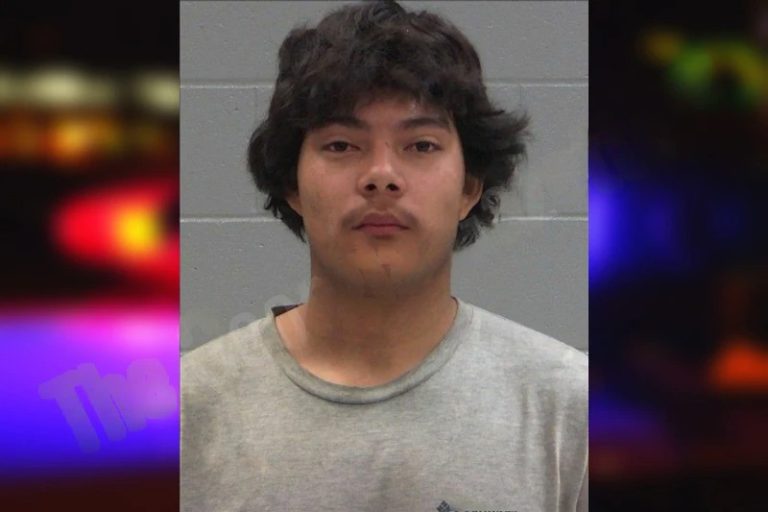 Stephen Langwell mugshot – Baldwin County , Georgia Stephen Langwell