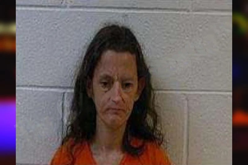 Summer Demarco Mugshots