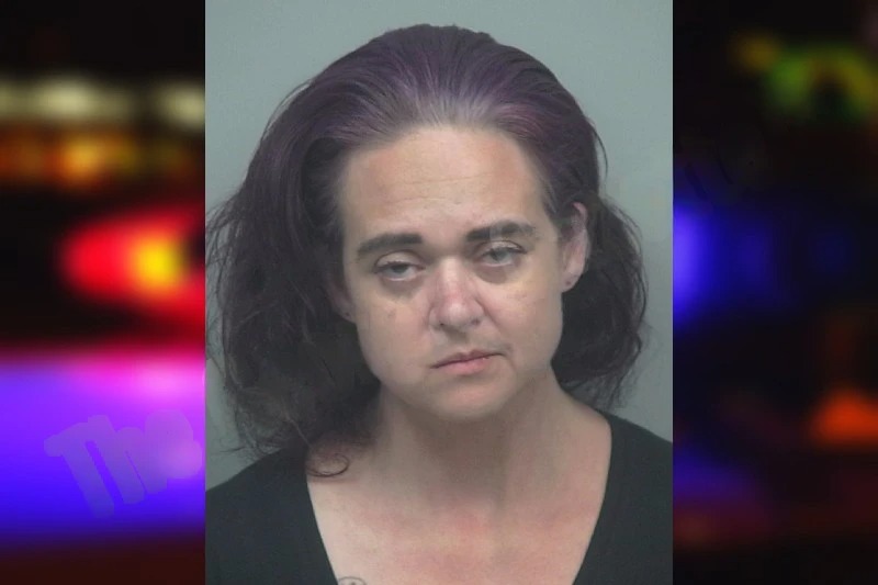 Susan Bright Mugshots