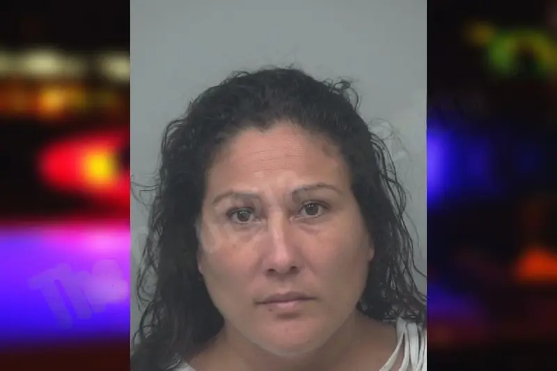 Sylvia Colmenero mugshot