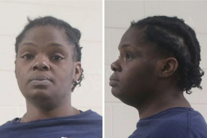 Sylvia English Mugshots