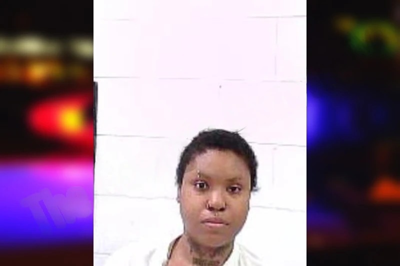 Taierra Wise mugshot β Fulton County , Georgia Taierra Wise mugshot