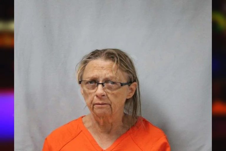 Tamara Bradley mugshot – Seminole County , Georgia Tamara Bradley