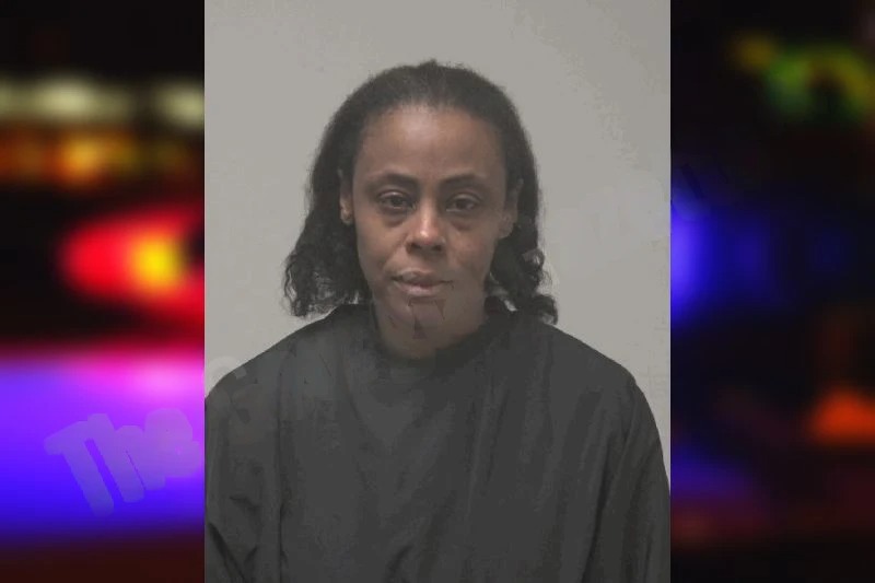 Tamara Lane mugshot – Coweta County , Georgia Tamara Lane mugshot